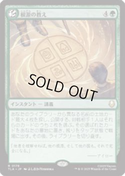 画像1: 【JPN/TLA】根源の教え/Elemental Teachings [緑] 『R』