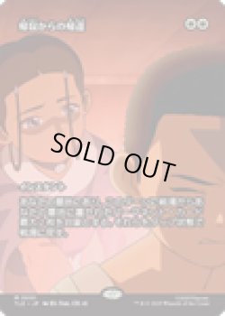 画像1: 【ENG/TLE】帰寂からの帰還/Brought Back [白] 『M』