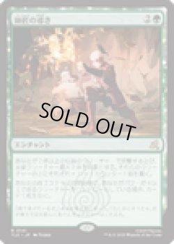 画像1: 【ENG/TLE】師匠の導き/Master's Guidance [緑] 『R』