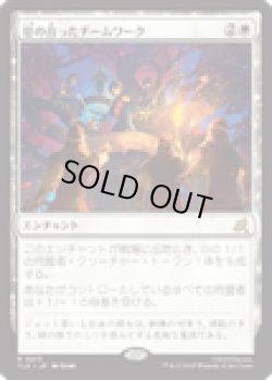 画像1: 【ENG/TLE】息の合ったチームワーク/Allied Teamwork [白] 『R』