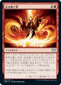 【JPN/VOW】引き裂く炎/Rending Flame [赤] 『U』