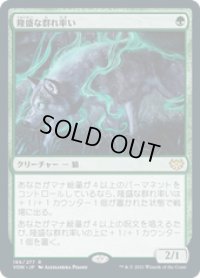 【JPN/VOW】隆盛な群れ率い/Ascendant Packleader [緑] 『R』