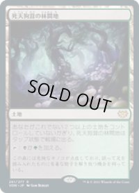 【JPN/VOW】死天狗茸の林間地/Deathcap Glade [土地] 『R』