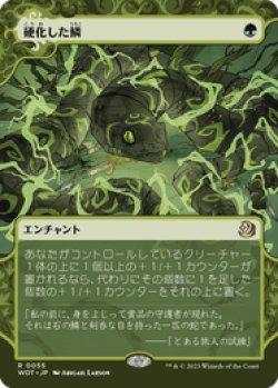 画像1: 【JPN/WOT】硬化した鱗/Hardened Scales [緑] 『R』