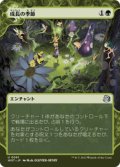 【JPN/WOT】成長の季節/Season of Growth [緑] 『U』