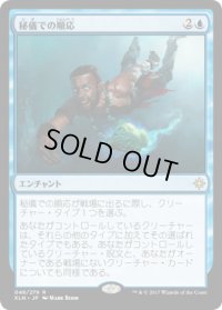 【JPN/XLN】秘儀での順応/Arcane Adaptation 『R』 [青]　