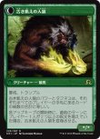 画像2: 【JPN/SOI】古き知恵の賢者/Sage of Ancient Lore - 古き飢えの人狼/Werewolf of Ancient Hunger 『R』