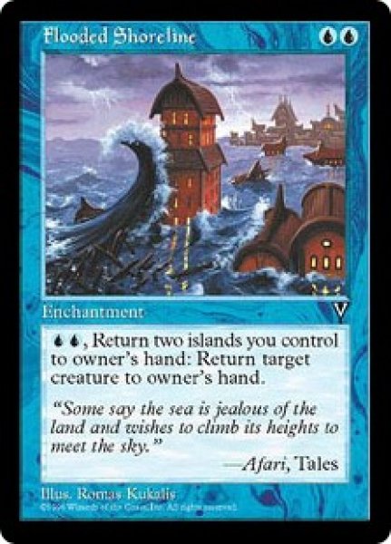 画像1: 【ENG/VIS】海嘯/Flooded Shoreline (1)