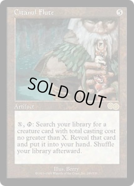 画像1: 【JPN/USG】シタヌールのフルート/Citanul Flute (1)