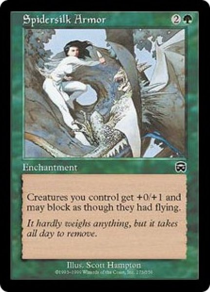 画像1: 【ENG/MMQ】蜘蛛糸の鎧/Spidersilk Armor (1)