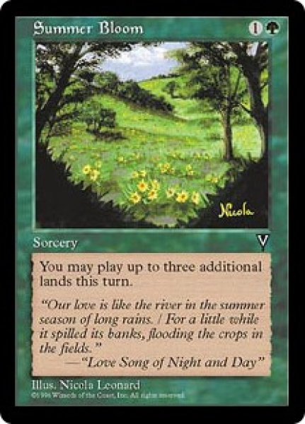 画像1: 【ENG/VIS】花盛りの夏/Summer Bloom (1)