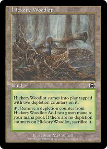 画像1: 【JPN/MMQ】ヒッコリーの植林地/Hickory Woodlot【EX-】 (1)