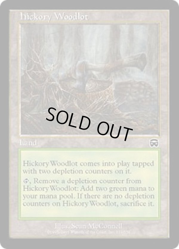 画像1: 【JPN/MMQ/FOIL★】ヒッコリーの植林地/Hickory Woodlot