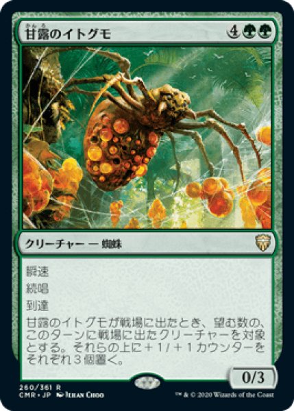 画像1: 【JPN/CMR】甘露のイトグモ/Sweet-Gum Recluse (1)