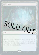 画像: 【JPN/MH2】霧深い雨林/Misty Rainforest