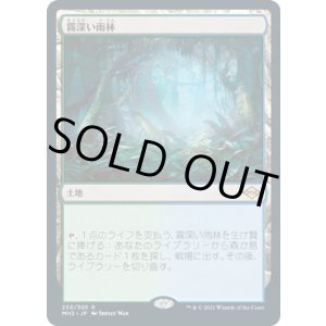 画像: 【JPN/MH2】霧深い雨林/Misty Rainforest