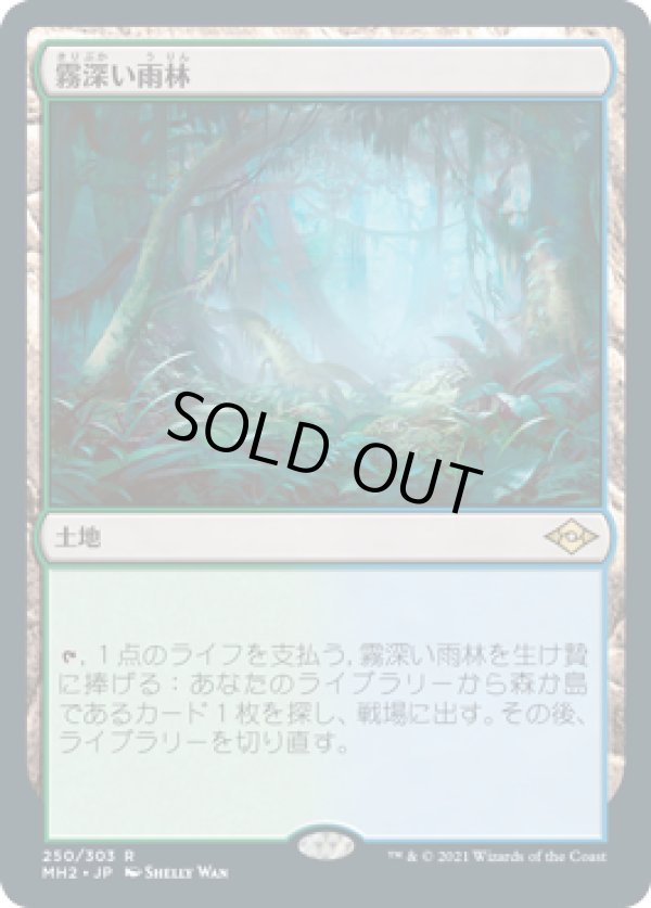 画像1: 【JPN/MH2】霧深い雨林/Misty Rainforest