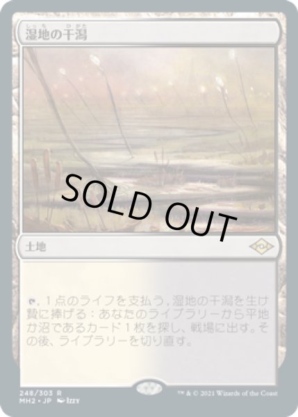 画像1: 【JPN/MH2/FOIL★】湿地の干潟/Marsh Flats (1)