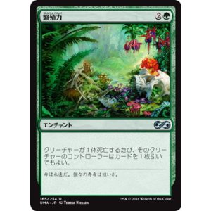 画像: 【JPN/UMA】繁殖力/Fecundity