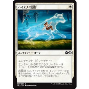 画像: 【JPN/UMA】ハイエナの陰影/Hyena Umbra