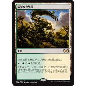 画像: 【JPN/UMA】活発な野生林/Stirring Wildwood