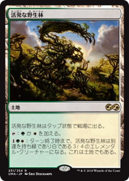 画像1: 【JPN/UMA】活発な野生林/Stirring Wildwood (1)