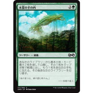 画像: 【JPN/UMA】木霊の手の内/Kodama's Reach