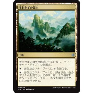 画像: 【JPN/XLN】手付かずの領土/Unclaimed Territory