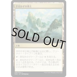 画像: 【JPN/XLN】手付かずの領土/Unclaimed Territory