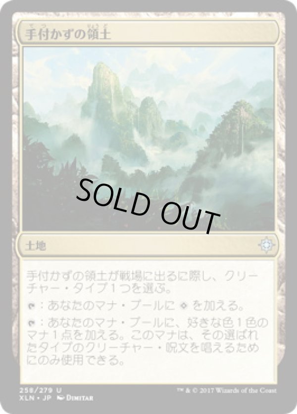 画像1: 【JPN/XLN】手付かずの領土/Unclaimed Territory