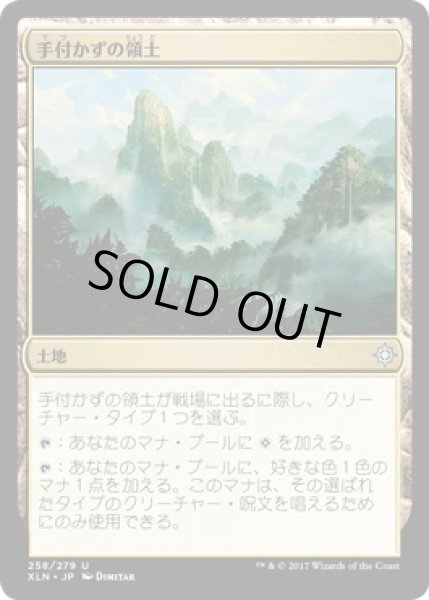 画像1: 【JPN/XLN】手付かずの領土/Unclaimed Territory (1)