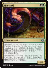 画像: 【JPN/AER】巻きつき蛇/Winding Constrictor