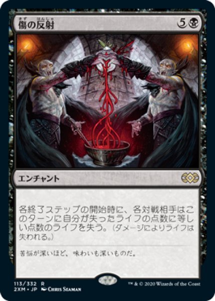 画像1: 【JPN/2XM】傷の反射/Wound Reflection (1)