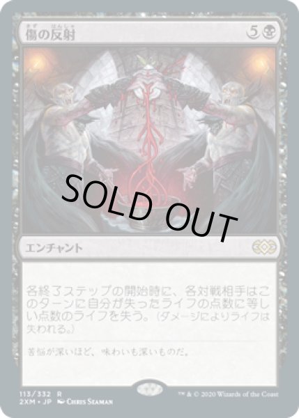 画像1: 【JPN/2XM】傷の反射/Wound Reflection (1)