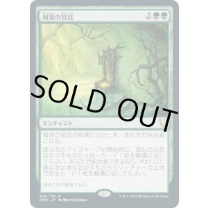 画像: 【JPN/CMR】報奨の宮廷/Court of Bounty