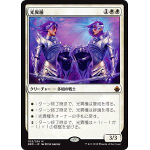 画像: 【JPN/BBD】光異種/Brightling