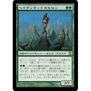画像: 【JPN/TSP】ヘイヴンウッドのセロン/Thelon of Havenwood