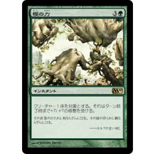 画像: 【JPN/M10/FOIL★】樫の力/Might of Oaks