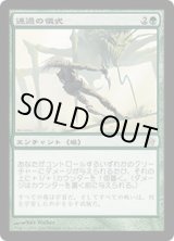 画像: 【JPN/5DN】通過の儀式/Rite of Passage