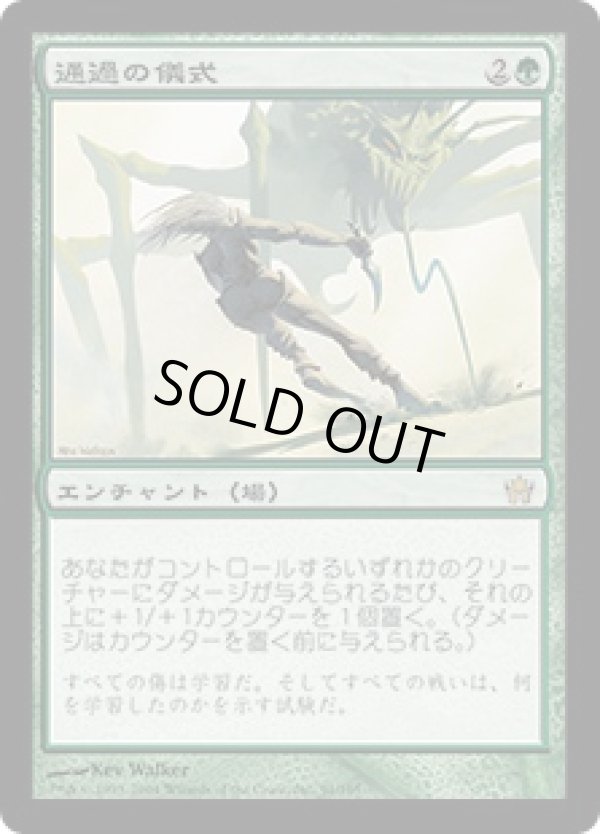 画像1: 【JPN/5DN】通過の儀式/Rite of Passage