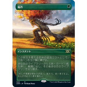 画像: 【JPN/2XM-BF】輪作/Crop Rotation【ボーダーレス】