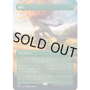 画像: 【JPN/2XM-BF】輪作/Crop Rotation【ボーダーレス】