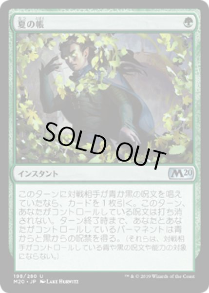 画像1: 【JPN/M20】夏の帳/Veil of Summer (1)