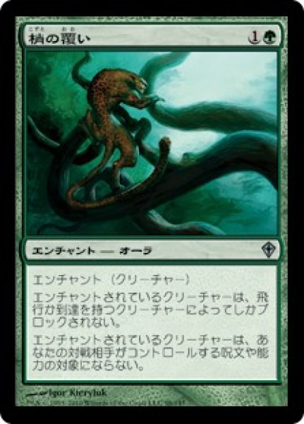 画像1: 【JPN/WWK】梢の覆い/Canopy Cover (1)