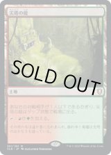 画像: 【JPN/CLB】尖塔の庭/Spire Garden