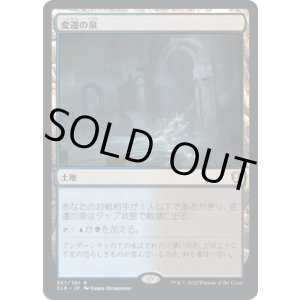 画像: 【JPN/CLB】変遷の泉/Morphic Pool