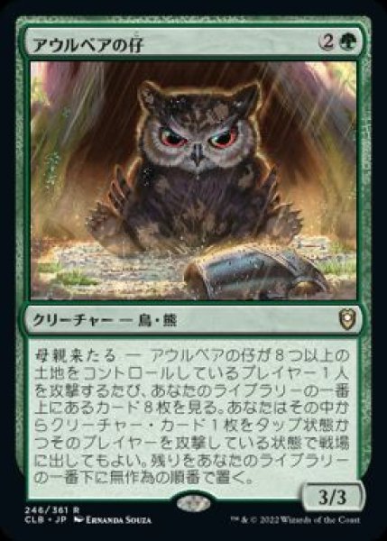 画像1: 【JPN/CLB】アウルベアの仔/Owlbear Cub (1)