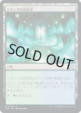 画像: 【JPN/2X2】シミックの成長室/Simic Growth Chamber