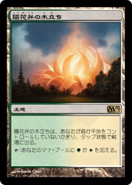 画像1: 【JPN/M13】陽花弁の木立ち/Sunpetal Grove (1)