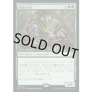 画像: 【JPN/CLB】棘茨の君主/Bramble Sovereign